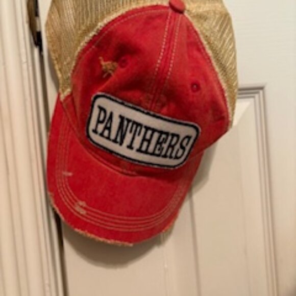 Panthers Trucker Hat - Picture 2 of 2